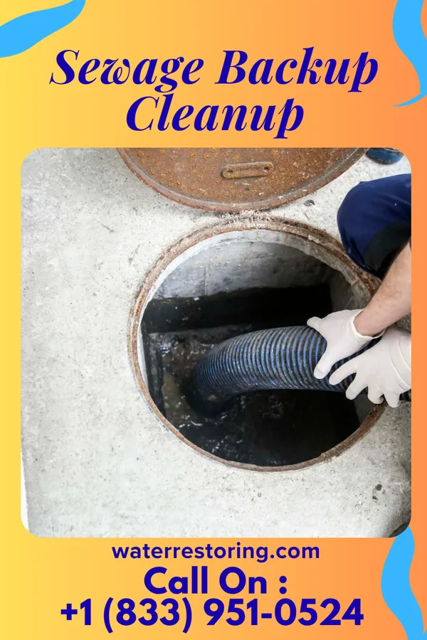 Sewage Backup Cleanup in Baxter, MN