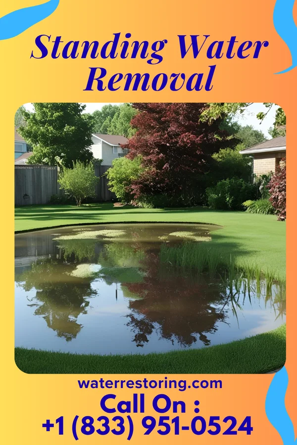 Standing Water Removal in Baxter, MN